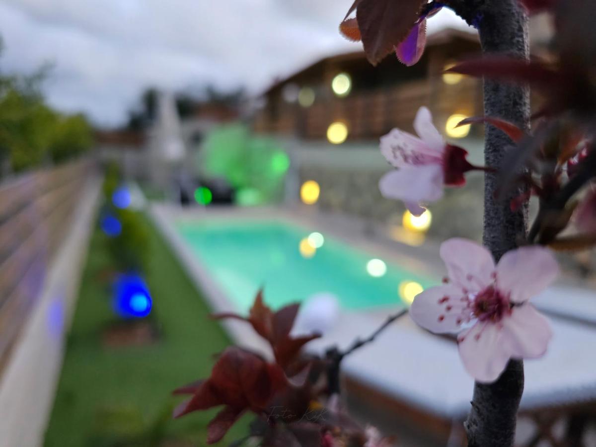 Elia Paradise Villa With Private Pool 伊拉克利翁 外观 照片